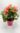 Begonia Elatior8 M15
